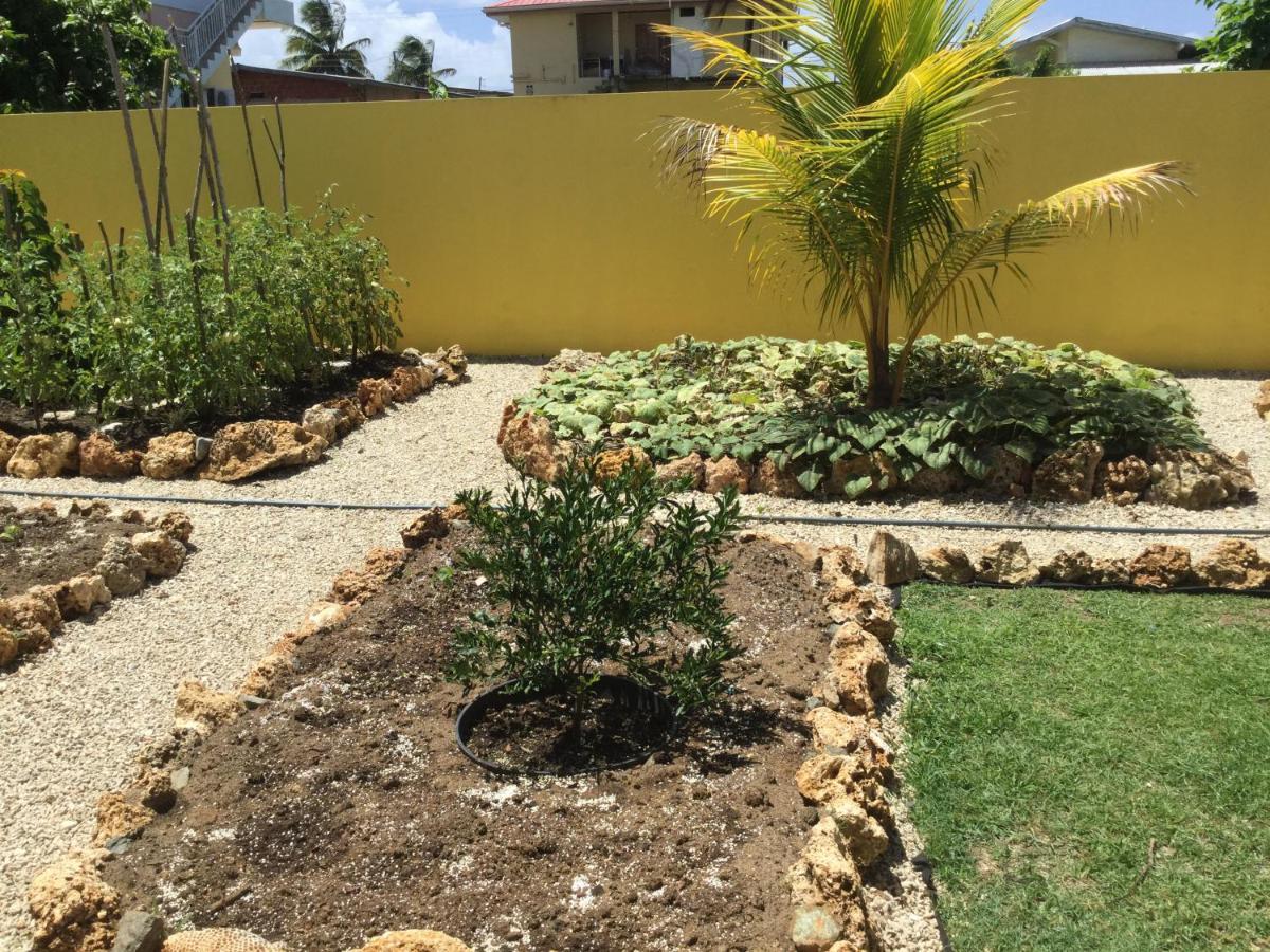 Cc Best Villas Tobago Lowlands Exteriér fotografie